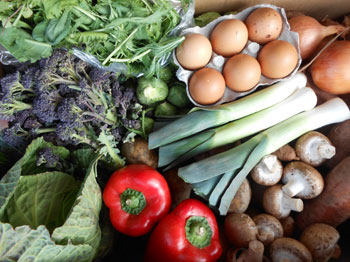 Organic vegetable box